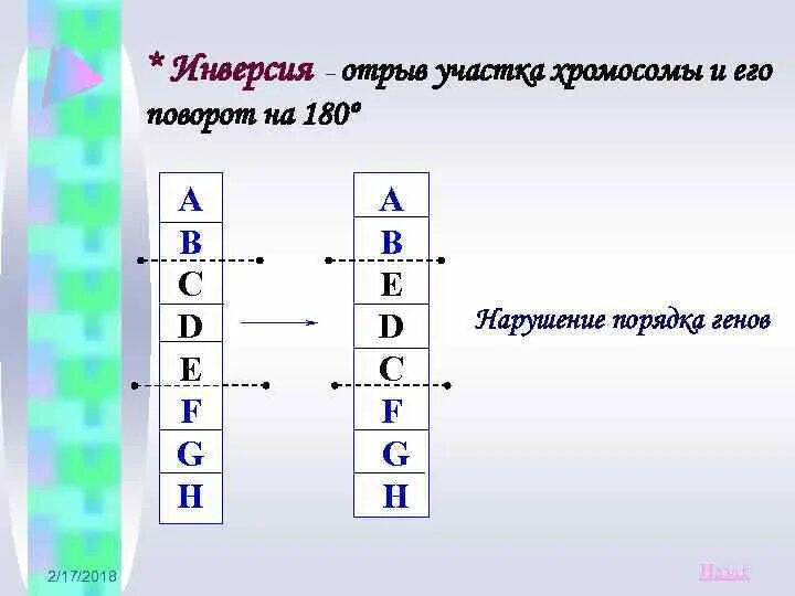 Поворот участка хромосомы на 180° - это…. Поворот участка хромосомы на 180 градусов. Инверсия хромосом. Поврот учатска хромомосмы на 180 град. Поворот участка на 180 градусов