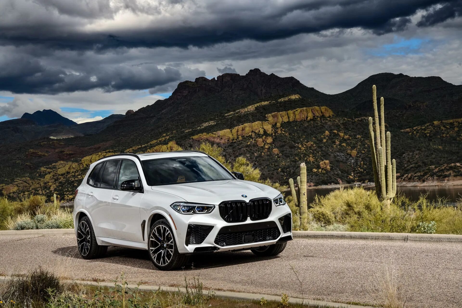 Бмв х5 компетишн. BMW x5m 2020. BMW x5 m Competition 2020. BMW x5m 2020 Black. BMW › x5 m новый белый.