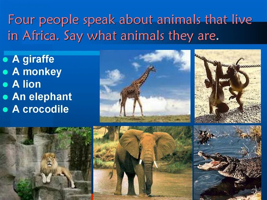 How many картинки. Have you ever been to. What animals were there. Have you ever been to. What animals were there.