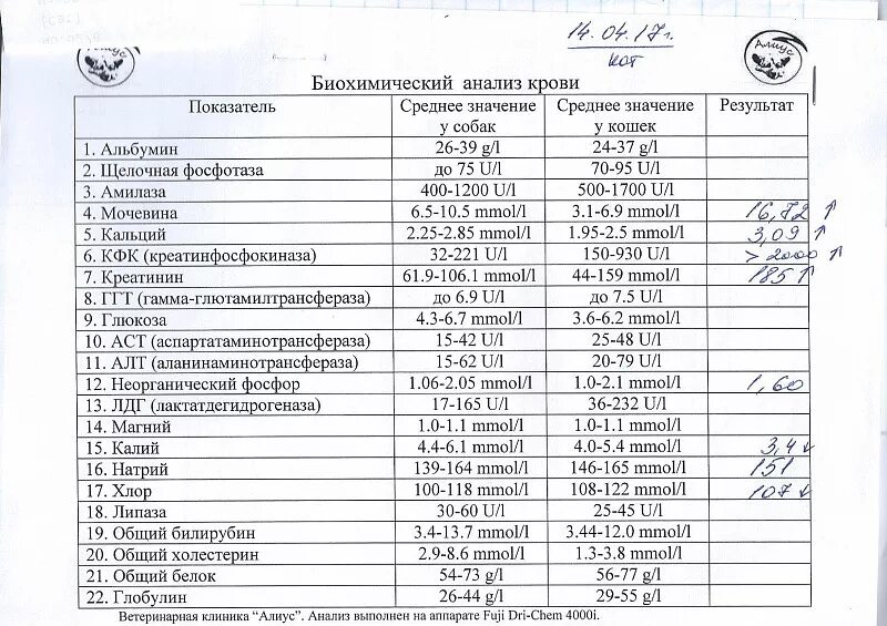 Нормальные показатели биохимии. Биохимия анализ крови показатели АСТ что это. Биохимический анализ крови норма АСТ. Биохимия крови алт АСТ норма. Биохимический анализ крови показатели нормы алт.