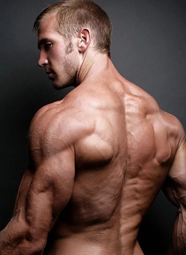 Adam Charlton. Adam Charlton bodybuilder. Накаченные плечи. Back model