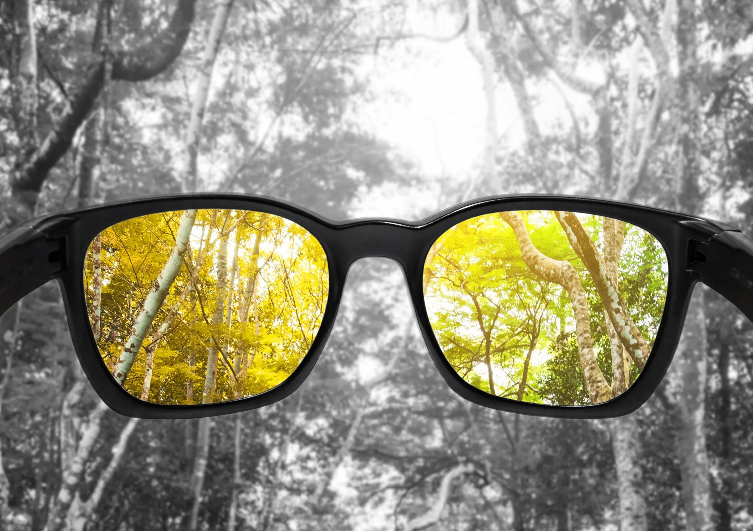 Зрение 3 какие очки. Очки для дальтоников. Цветные очки для зрения. Мир в очках. Очки от протанопии.