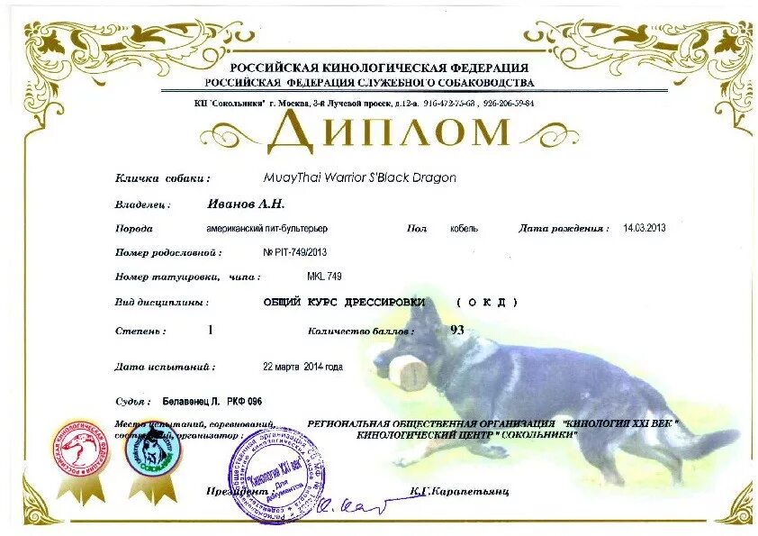Курсы ркф