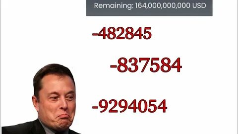 Spend elon musk s fortune