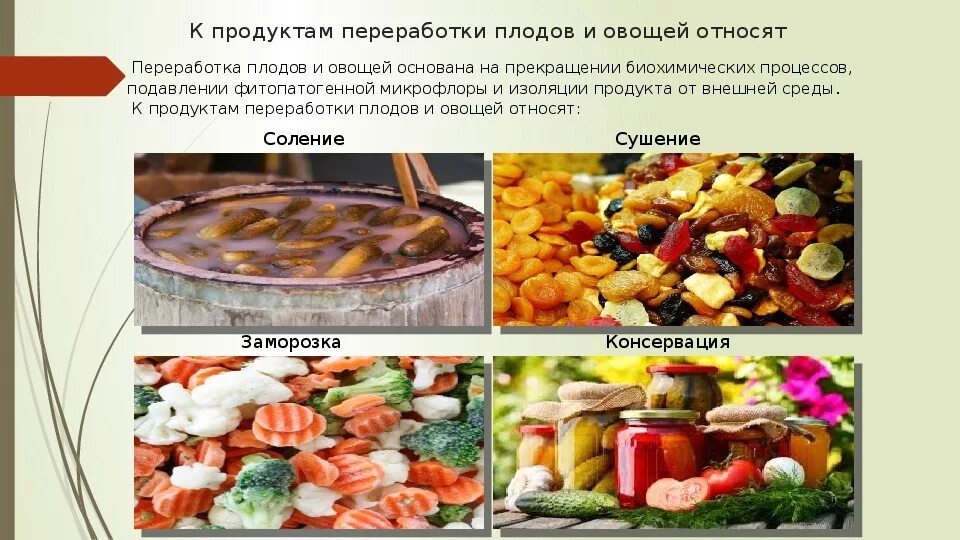 Продукты переработки овощей фруктов. Ассортимент Переработанных плодов и овощей. Переработанные плоды и овощи ассортимент. Способы переработки овощей. Переработанные овощи и плоды Товароведение.