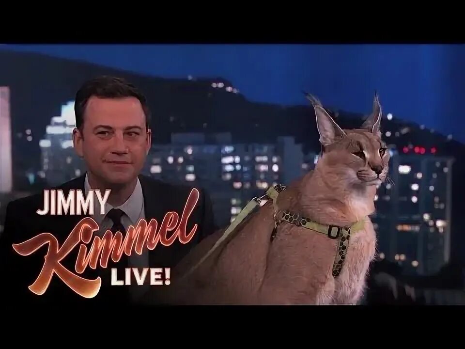 Smith jimmy "cat". Jimmy cat. Jimmy smith. Jimmy cat. Smith jimmy "cat".