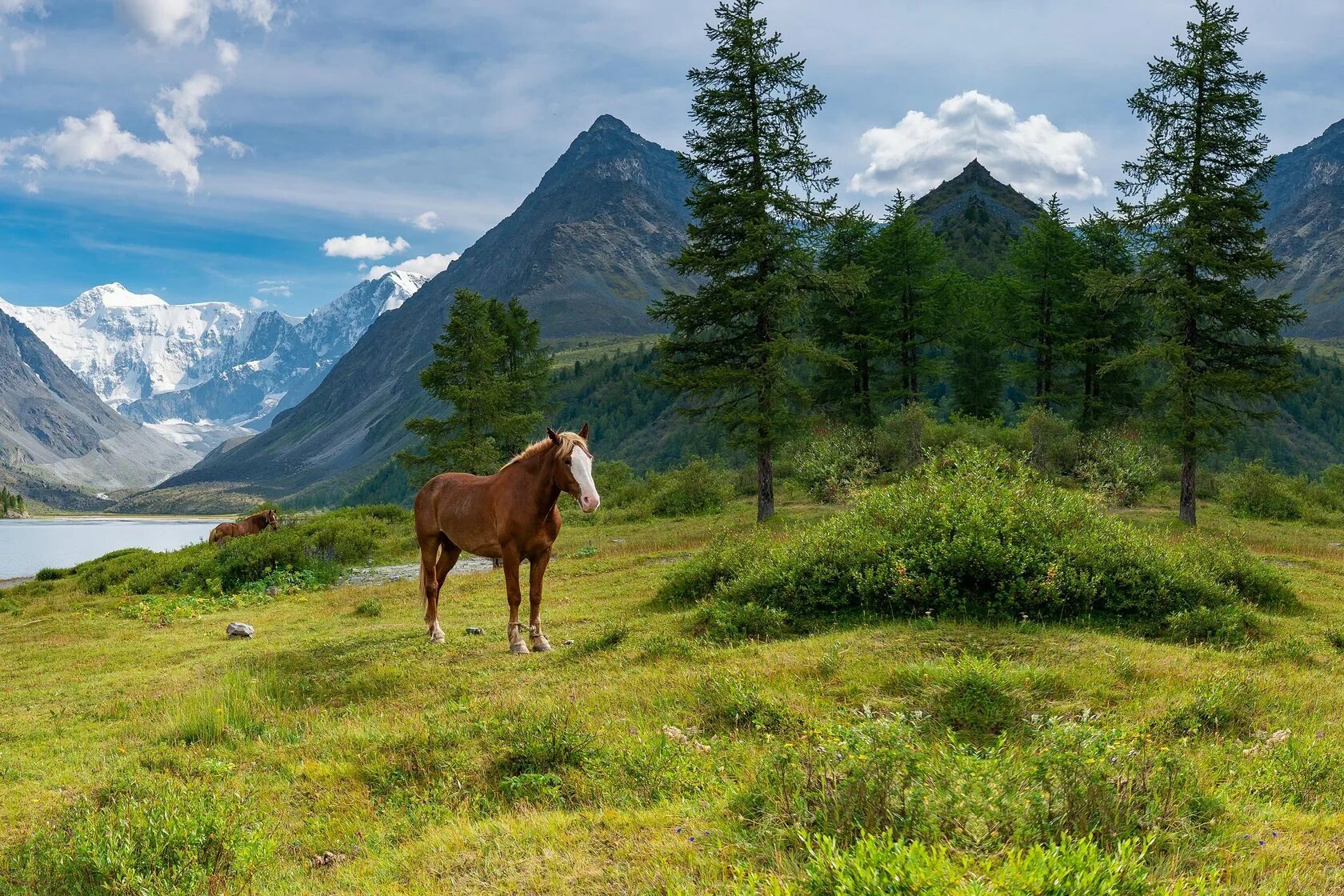 Сколько лет алтаю. Кучерлинское озеро алтай. алтай кучерлинское озеро лошади. алтай 2025. горный алтай 2025 лето.