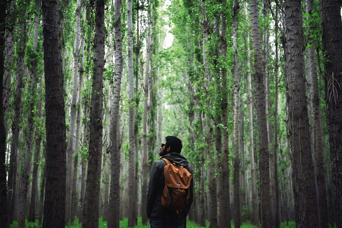 Человек в лесу. Фотосессия в лесу. Люди на природе в лесу. Чел в лесу.