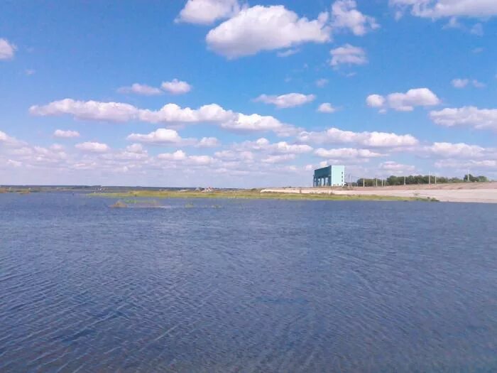 Курское море щетинка. Курское море щетинка водохранилище. Курске водохранилище в Щетинке. Курское море щетинка пляж. На курском водохранилище