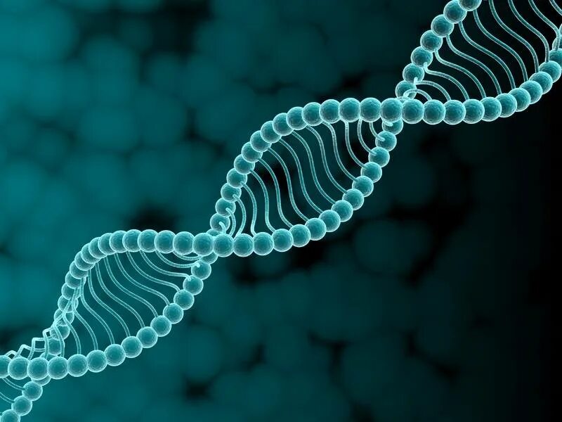 Геном называют. Геномная ДНК. ДНК молекулы наследственности. ДНК гены геном. Наследственная предрасположенность.