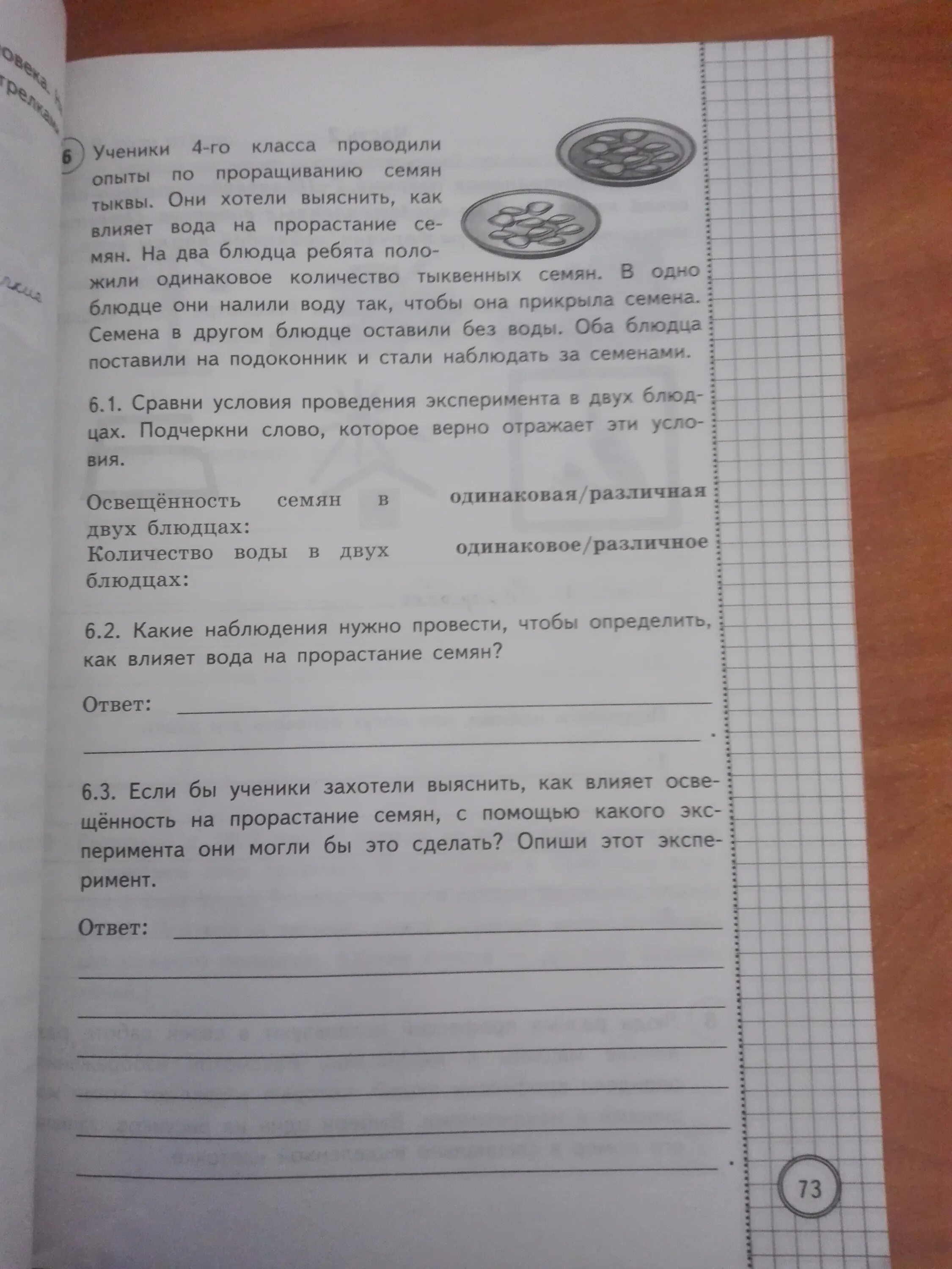 Тыкву любят во всем мире впр 4