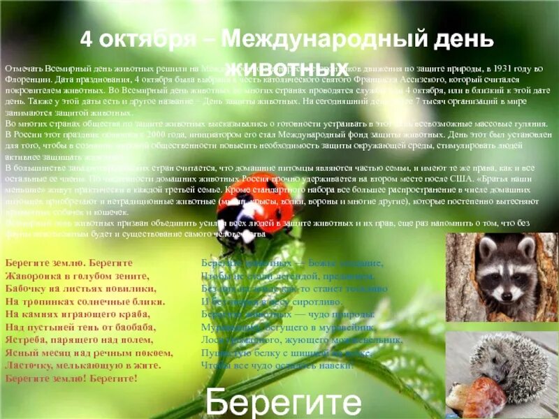 Почему важно защищать животных земли 4. Всемирный день защиты животных. стихотворения на тему защиты животных. стих на тему защита животных. стихотворение про охрану животных.
