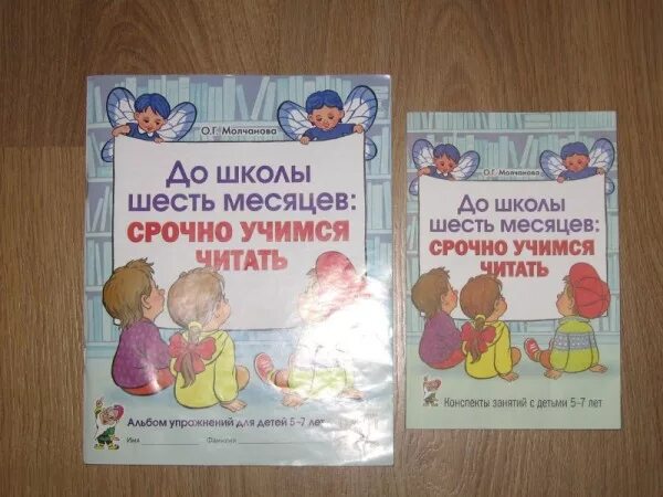 Книги 6 месяцев. Книги для обучения чтению. Молчанова до школы шесть месяцев. До школы шесть месяцев: срочно Учимся читать. Молчанова до школы 6 месяцев.