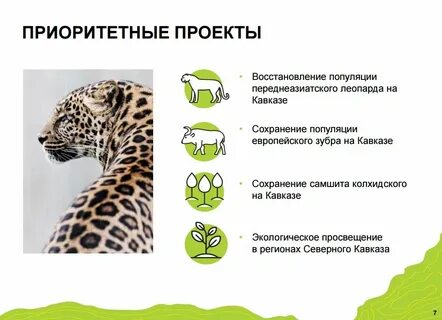 Восстановление популяции