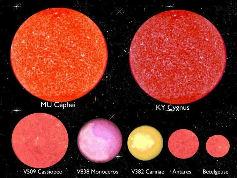 Красное сравнение. Цефея звезда. VV Цефея и Бетельгейзе. МЮ Цефея звезда. VV Цефея звезда.