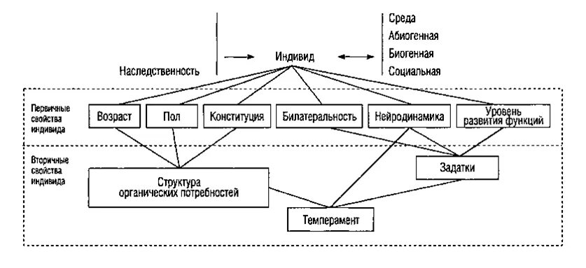 Схема свойств человека как индивида. Индивид личность схема. Индивидные свойства человека в психологии схема. Субъектные свойства личности.