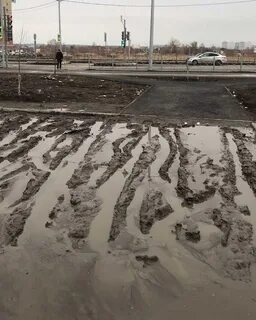Дворников омск