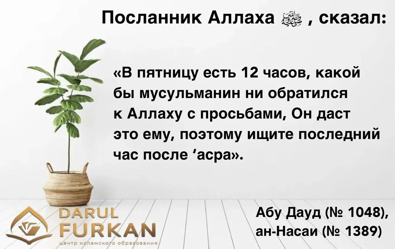 Дуа в последний час пятницы. Последний час асра Дуа пятницы. Последние часы пятницы Дуа. Последний час пятницы.