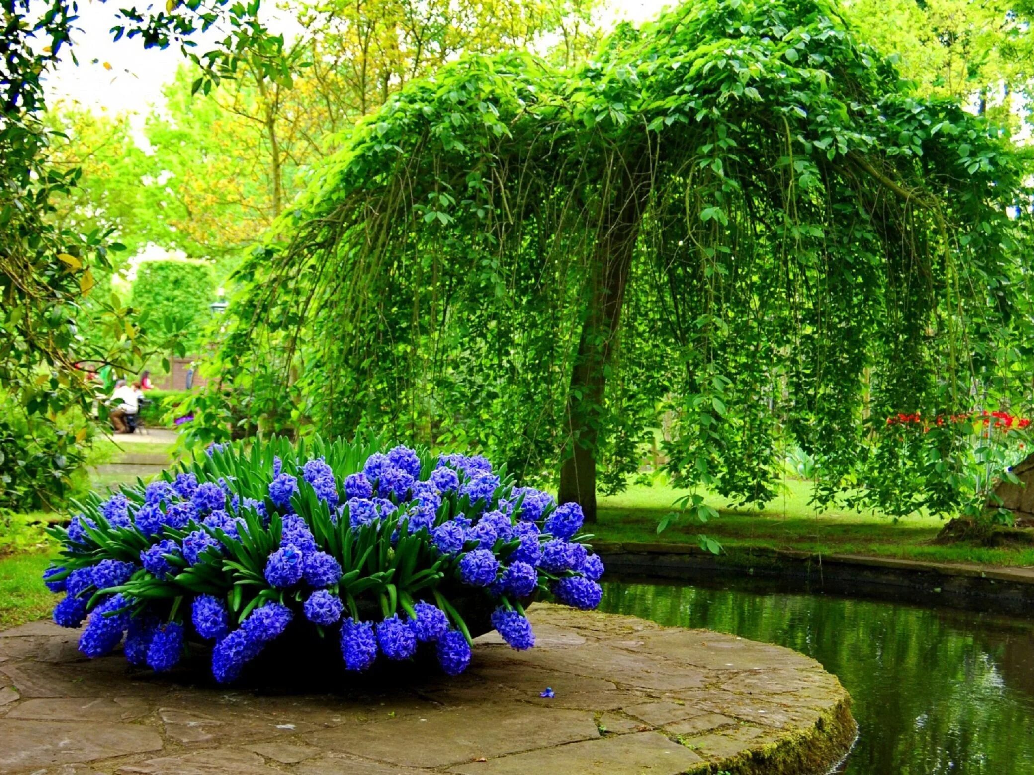 красивый сад. зеленый сад уральский. зелёный сад питомник казанцево. зеленый сад уральский. зеленый сад уральский.