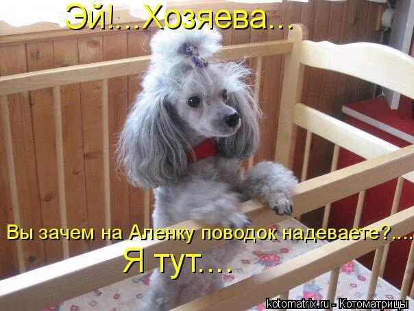 Одевайся тут. Что за прелесть эти приставки. Мужской заповедник в одноклассниках приколы. Одевайся тут. Одевайся тут.