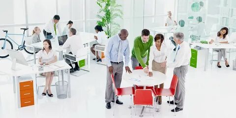 Организацией будет работать не один