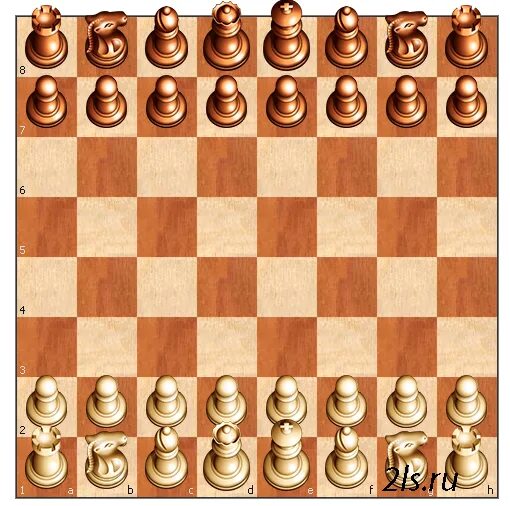 Шахматы на 1 экране. Игра шахматы Chess. Шахматы с компьютером. Игра в шахматы c компьютером. Шахматы на экране.