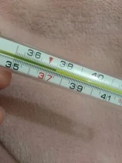 Мультфильм порно