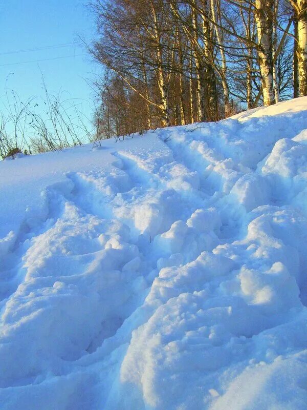 Белизна снега заставляла ещё яростней зеленеть сосновые лапы. Сообщение что такое сугроб. Киш манзаралари. Белизна снега. Скрип снега.
