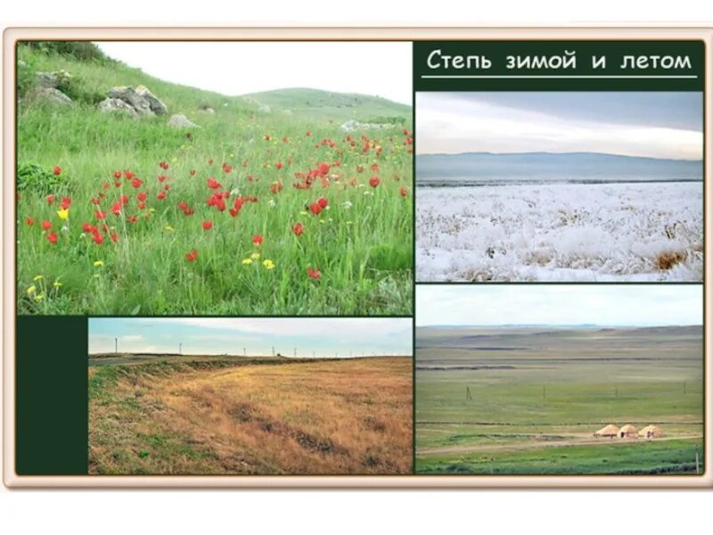 Как выглядит степь сейчас Фотоклуб "ZOOOM" Галерея Пейзаж Фото: "Степь да степь кругом.
