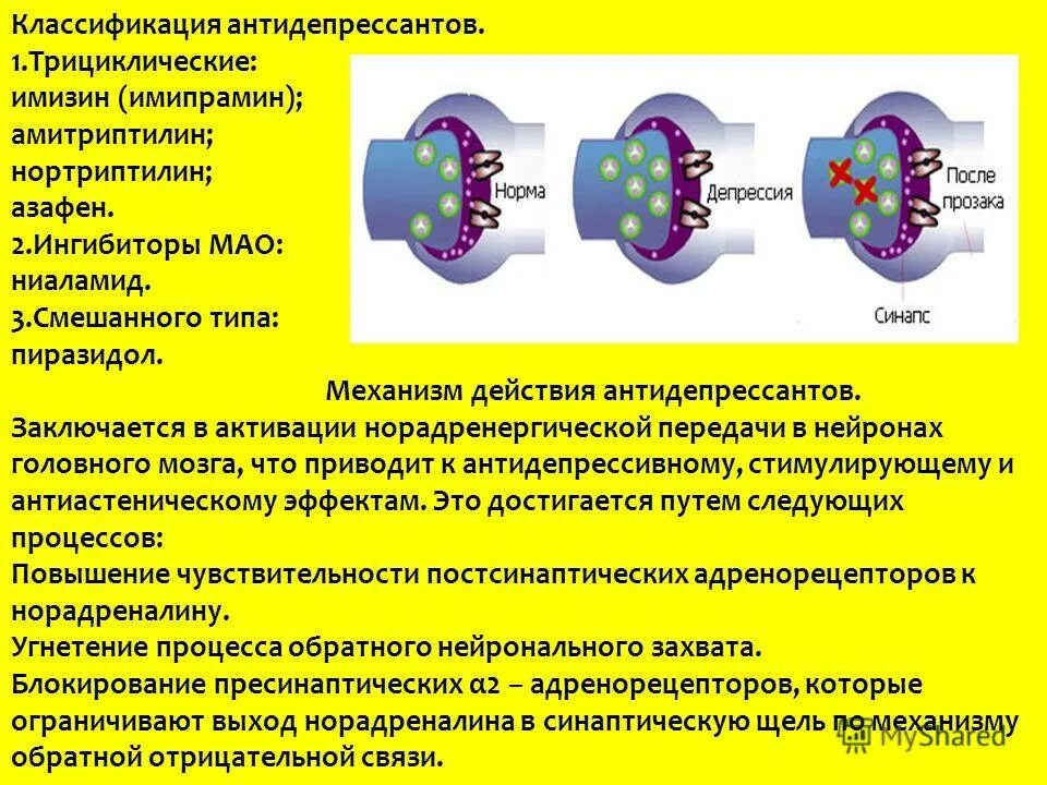 Имипрамин и ингибиторы Мао. Механизм действия амитриптилина. Амитриптилин механизм действия фармакология.