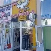 Сорока белгород. Магазин сорока белгород. Сорока белгород. Щорса, 40а. Щорса 40 ялта.