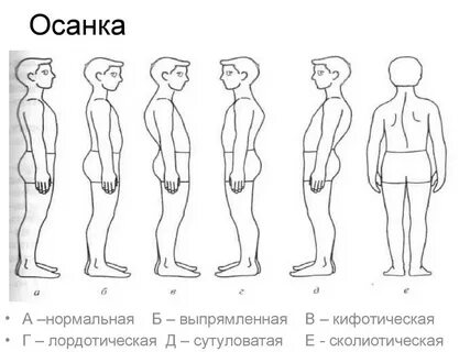 Типа назад