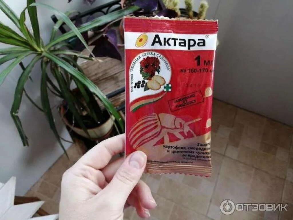 Актара для орхидей. Актара, конфидор. Актара инструкция по применению для комнатных. Препарат актара порошок. Препарат актара для растений.