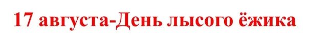 15 апреля день лысых. День лысых ежиков 17 августа. 17 августа день лысых ёжиков картинки с надписями. лысый ёжик небритый колобок. 17 августа 2025 день лысых ежиков -картинки открытки с надписью.
