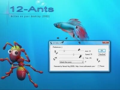 Ants 6