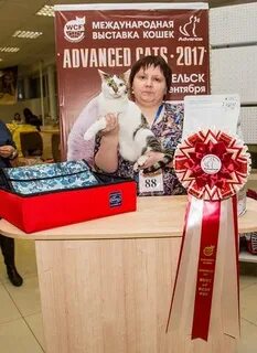 Победитель выставки