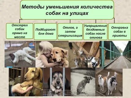 Собак способ