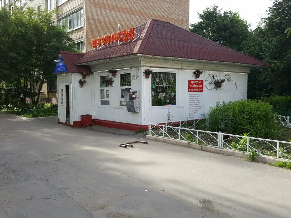 Лебедь долгопрудный. Пацаева 15. Стеклянная фигурка лебедь. Магазин белый лебедь в талице. Изображение лебедя в интерьере.