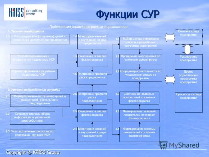 Сур система управления рисками. Структура системы управления рисками. Функции системы управления рисками. Роли в управлении рисками.