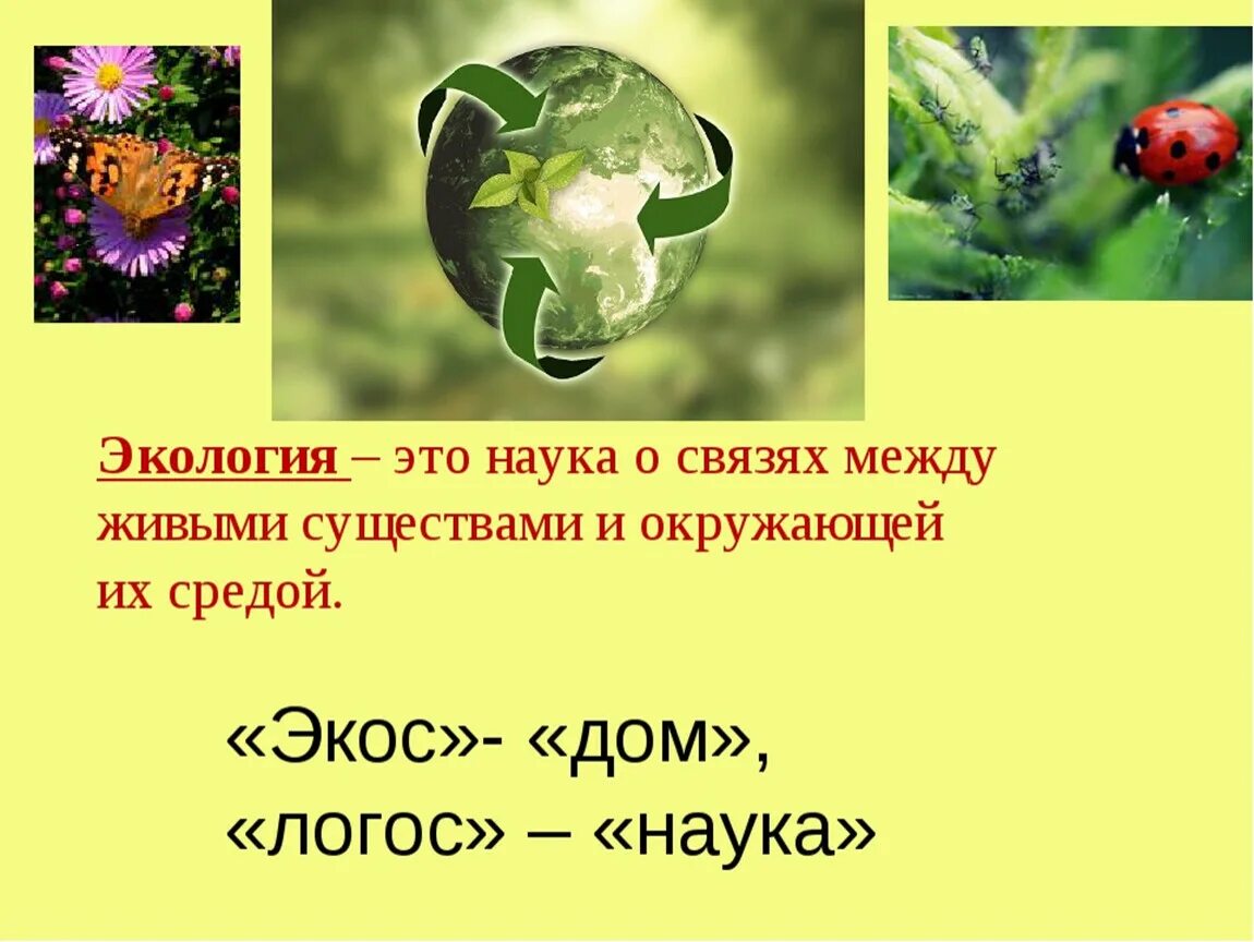 Урок экология 3 класс школа россии. Экология. Экология это наука. Экология наука о связях между. Окружающая среда.