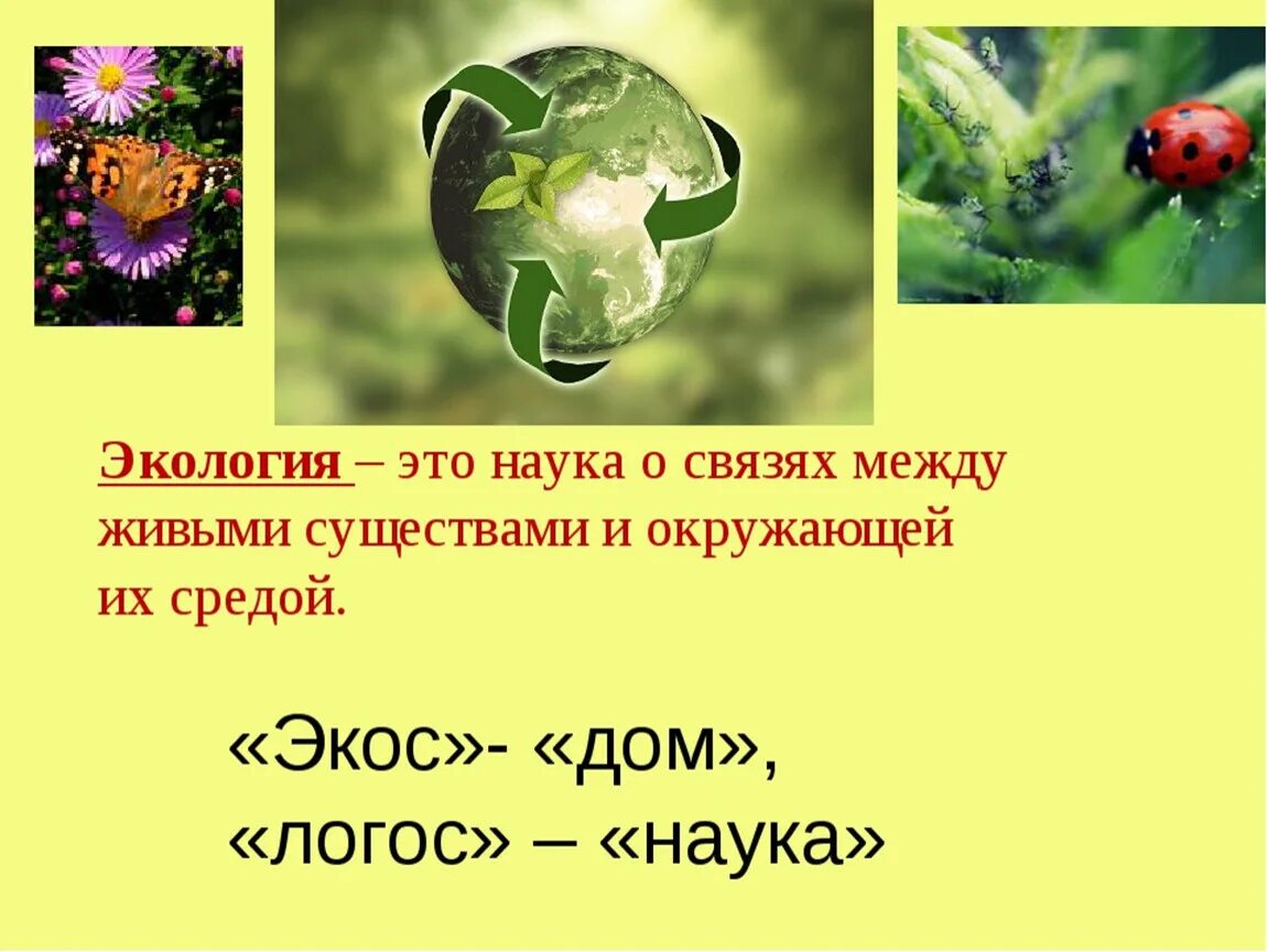 Наука экология помогает 3 класс. Экология. Экология это наука. Экология наука о связях между. Окружающая среда.