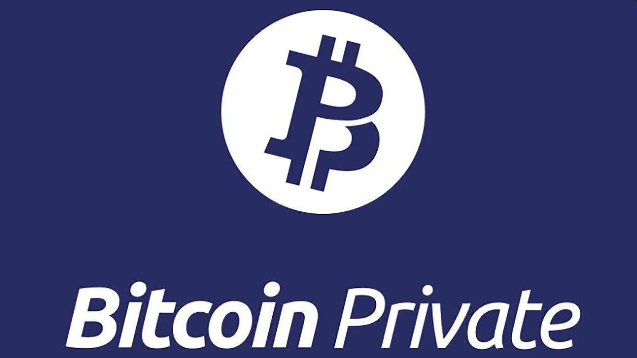 Bitcoin private. Дисней биткойн. BTC Team. BTC developers. Private bitcoin