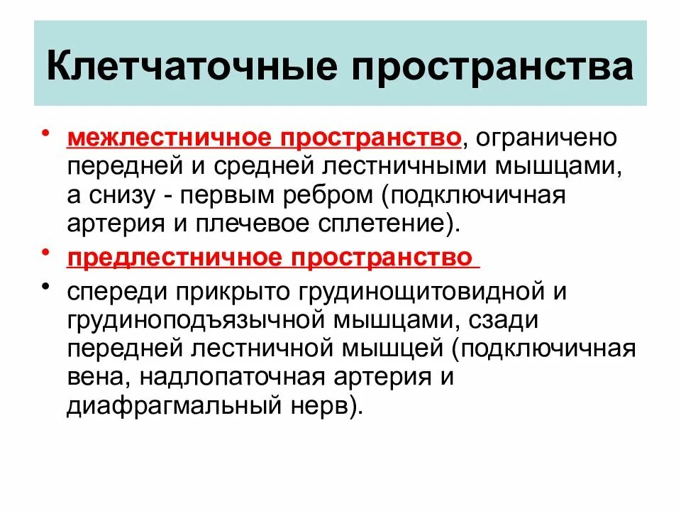 Предлестничное пространство. Межлестничное пространство. межлестничное пространство шеи. топографическая анатомия предлестничного промежутка. межлестничное клетчаточное пространство шеи.
