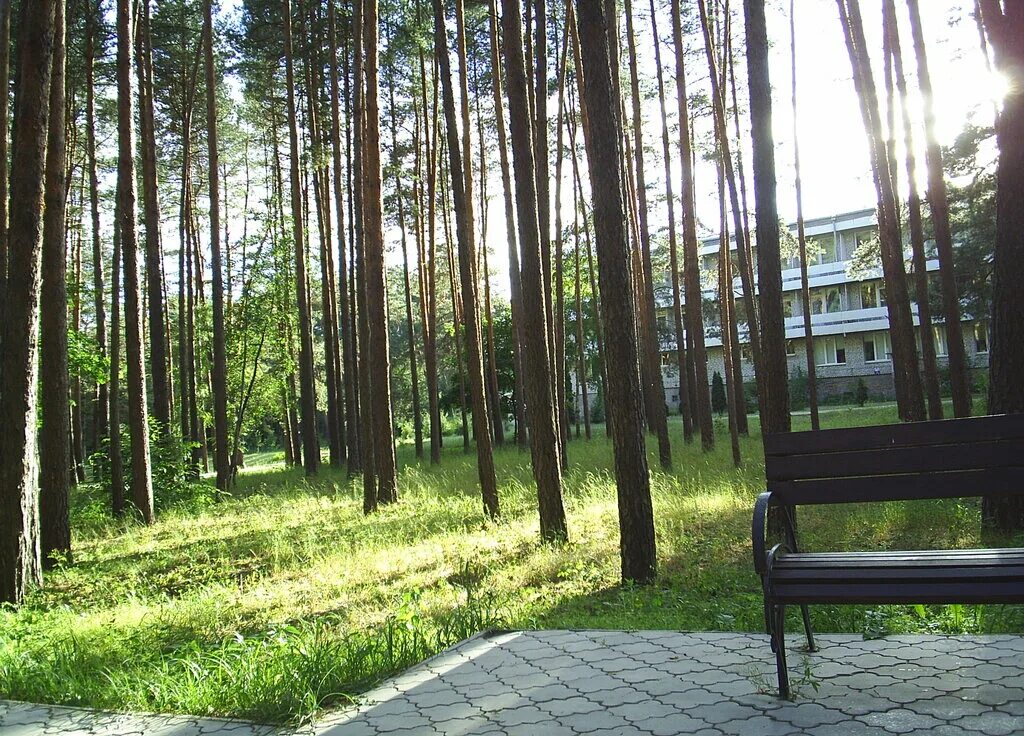 Санаторий маяк буревестник 2 местный 2 комнатный. Лагерь маяк курск фото. Санатории печерского курск. Парк солянка 7 курск санаторий. Санаторий маяк курск.