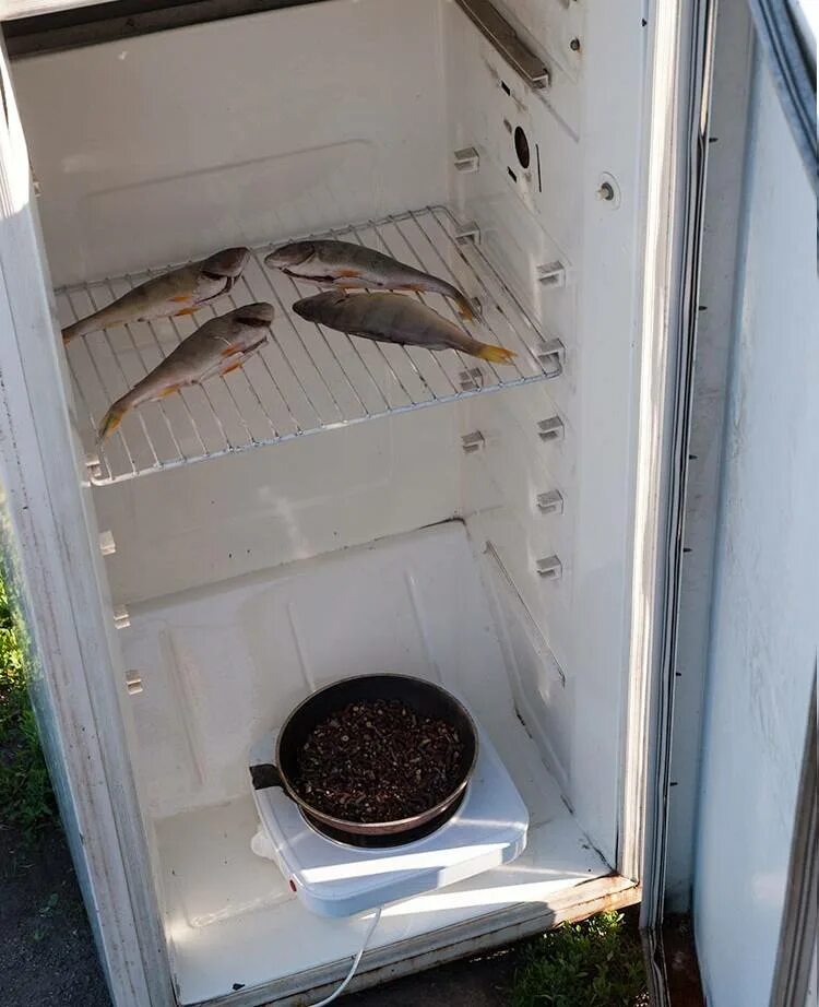 Коптильня полугорячего копчения. Коптильня с холодильника. Коптильня из холодильника для холодного копчения. Печь холодного копчения чертеж. Коптильня полугорячего копчения.