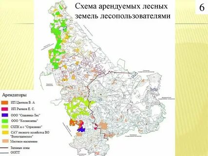 Как взять в аренду участок леса