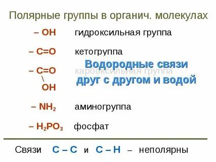 Гидроксильная группа