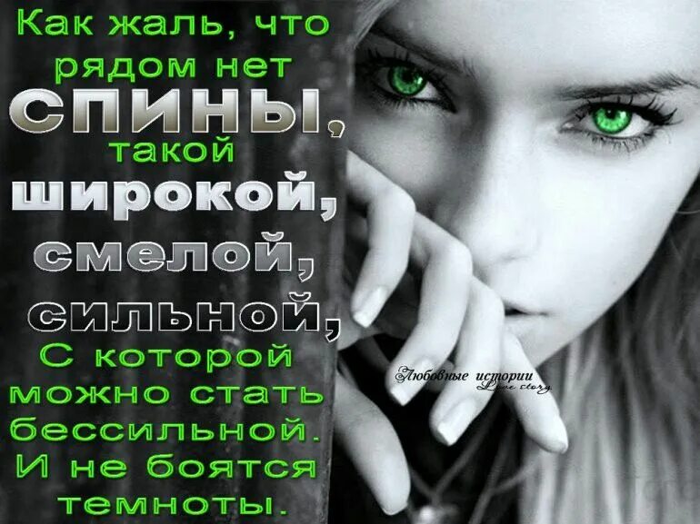 Когда болит душа. Кот жаль. Жаль афоризм. Как жаль что мне не жаль. Жаль что редко.