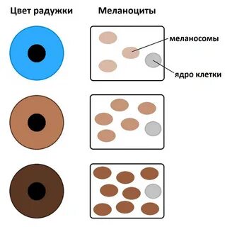 Как уменьшить меланин в глазах