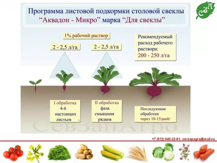 Чем подкормить картофель после посадки